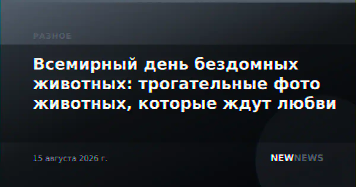 Всемирный день бездомных животных: трогательные фото животных, которые ждут любви