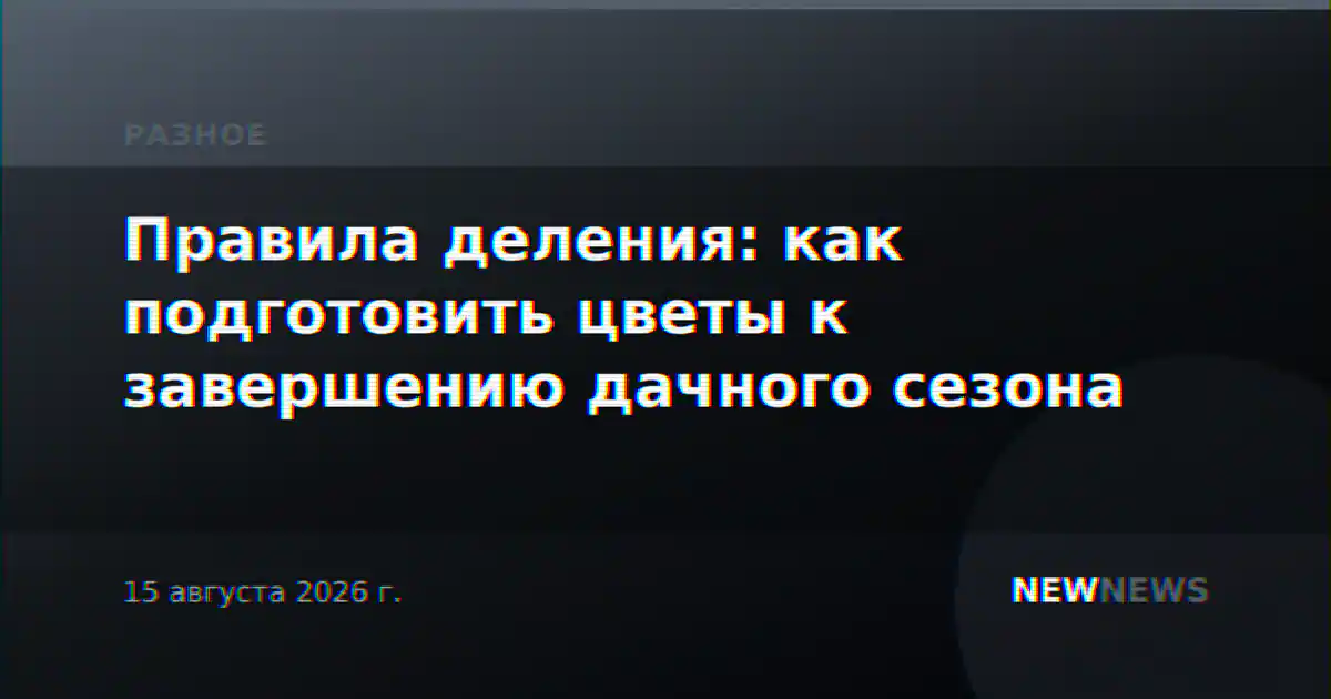 Правила деления: как подготовить цветы к завершению дачного сезона