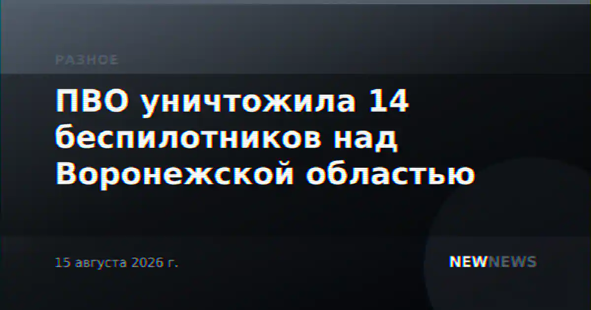 ПВО уничтожила 14 беспилотников над Воронежской областью