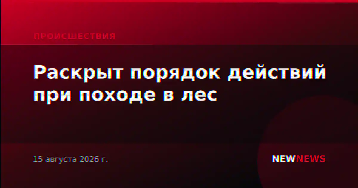 Раскрыт порядок действий при походе в лес