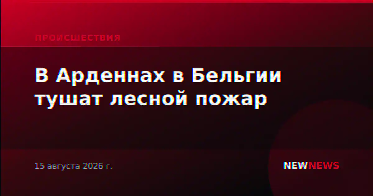 В Арденнах в Бельгии тушат лесной пожар
