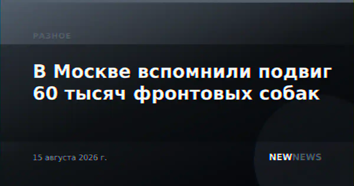 В Москве вспомнили подвиг 60 тысяч фронтовых собак