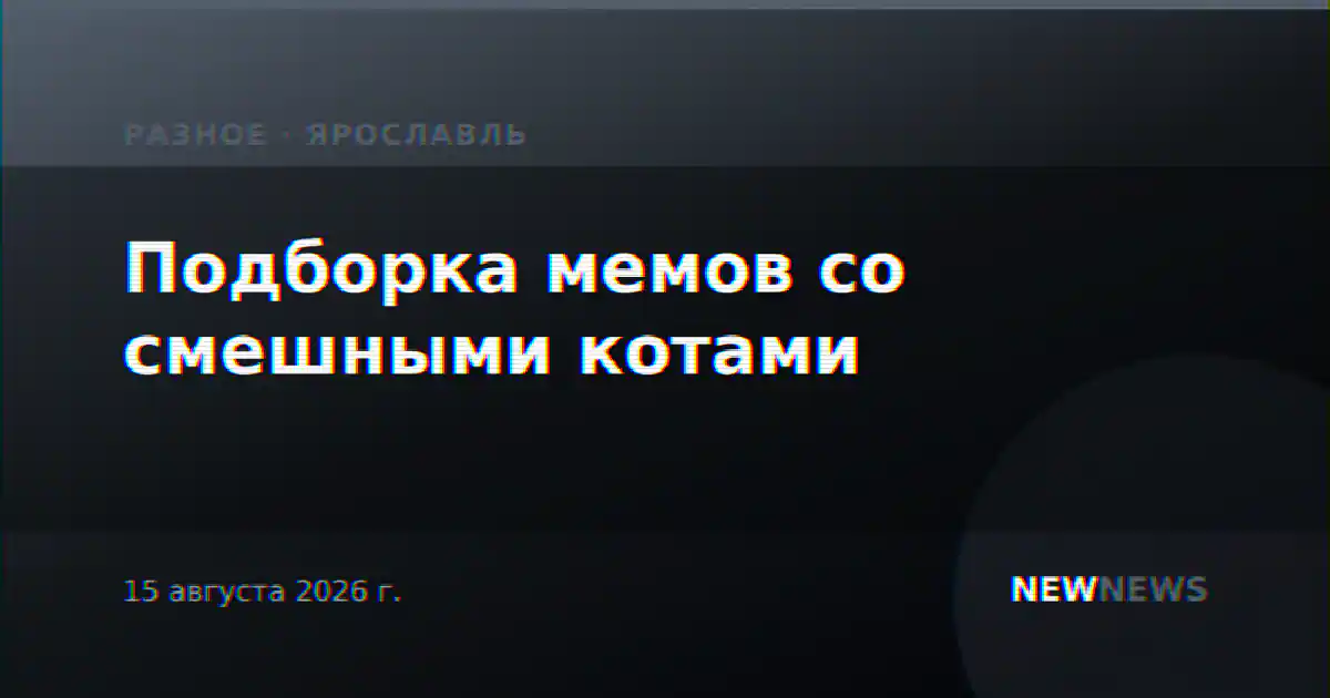Подборка мемов со смешными котами