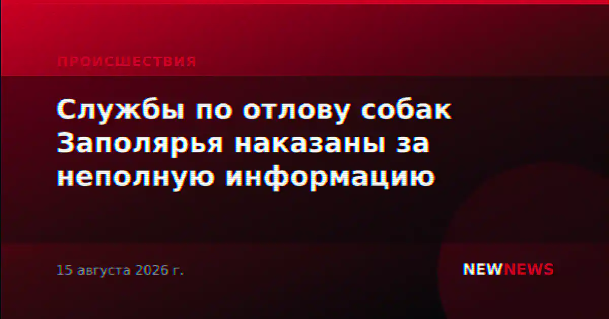 Службы по отлову собак Заполярья наказаны за неполную информацию