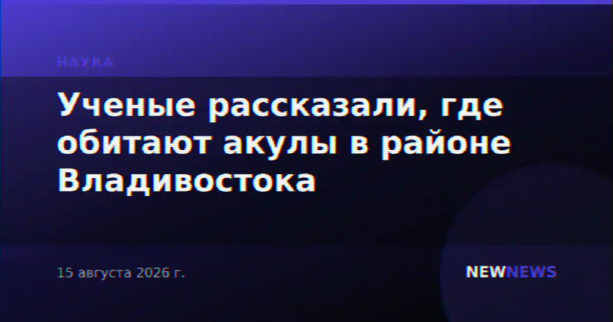 Ученые рассказали, где обитают акулы в районе Владивостока