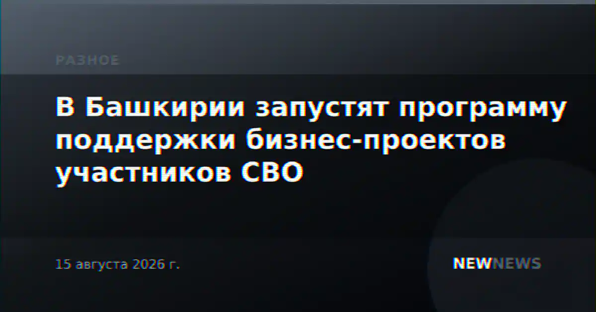В Башкирии запустят программу поддержки бизнес-проектов участников СВО