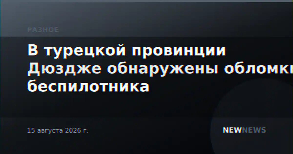 В турецкой провинции Дюздже обнаружены обломки беспилотника