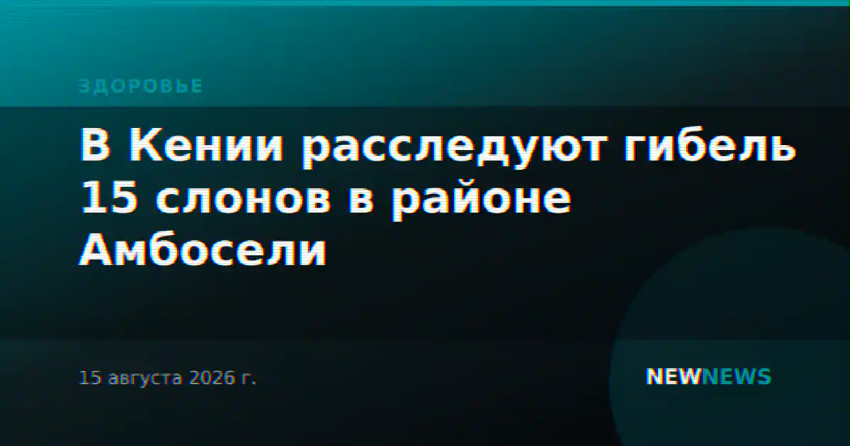 В Кении расследуют гибель 15 слонов в районе Амбосели