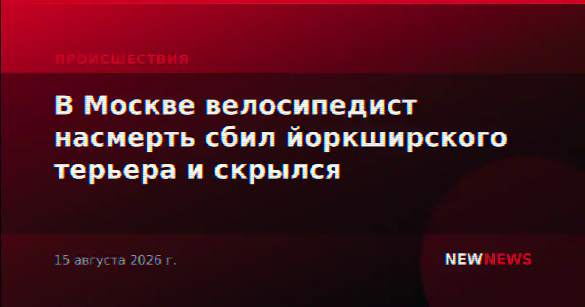 В Москве велосипедист насмерть сбил йоркширского терьера и скрылся