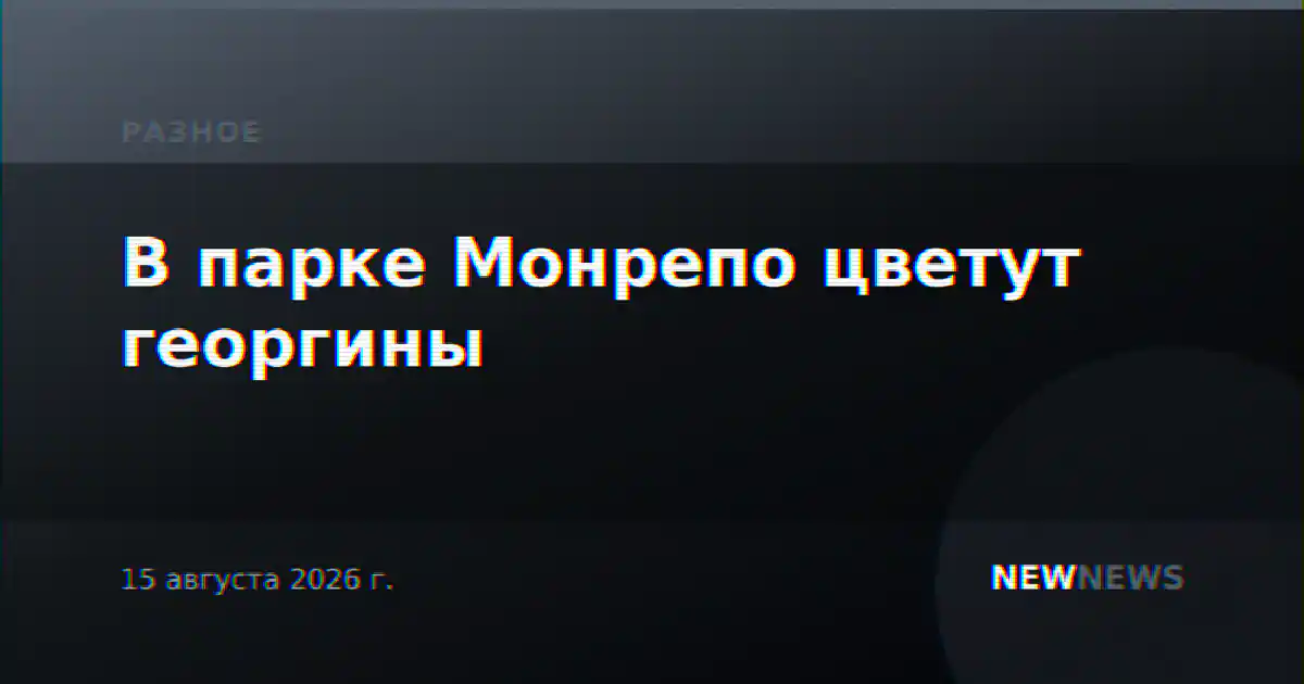 В парке Монрепо цветут георгины