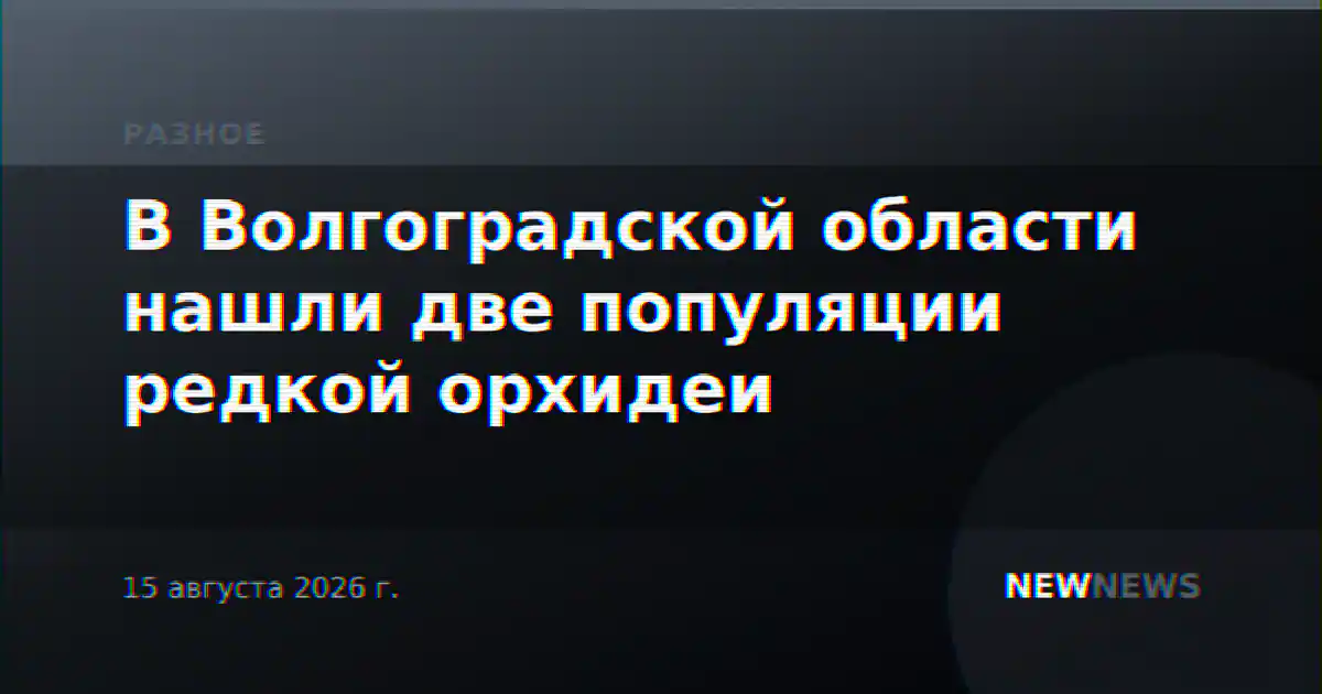 В Волгоградской области нашли две популяции редкой орхидеи