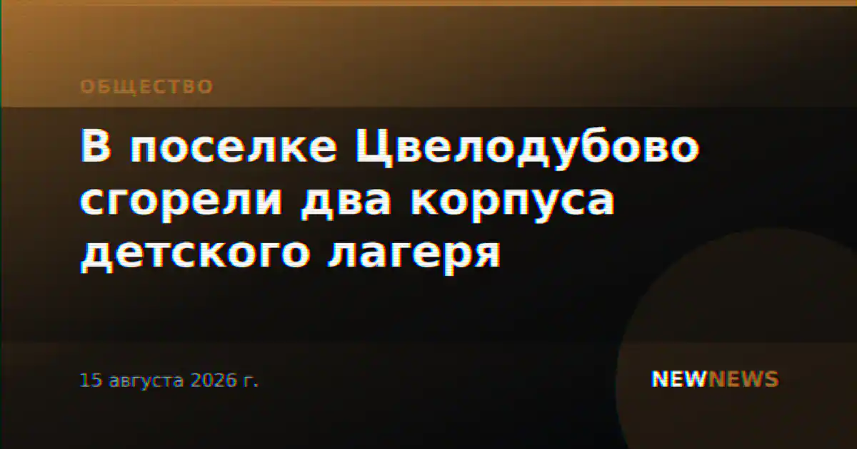 В поселке Цвелодубово сгорели два корпуса детского лагеря