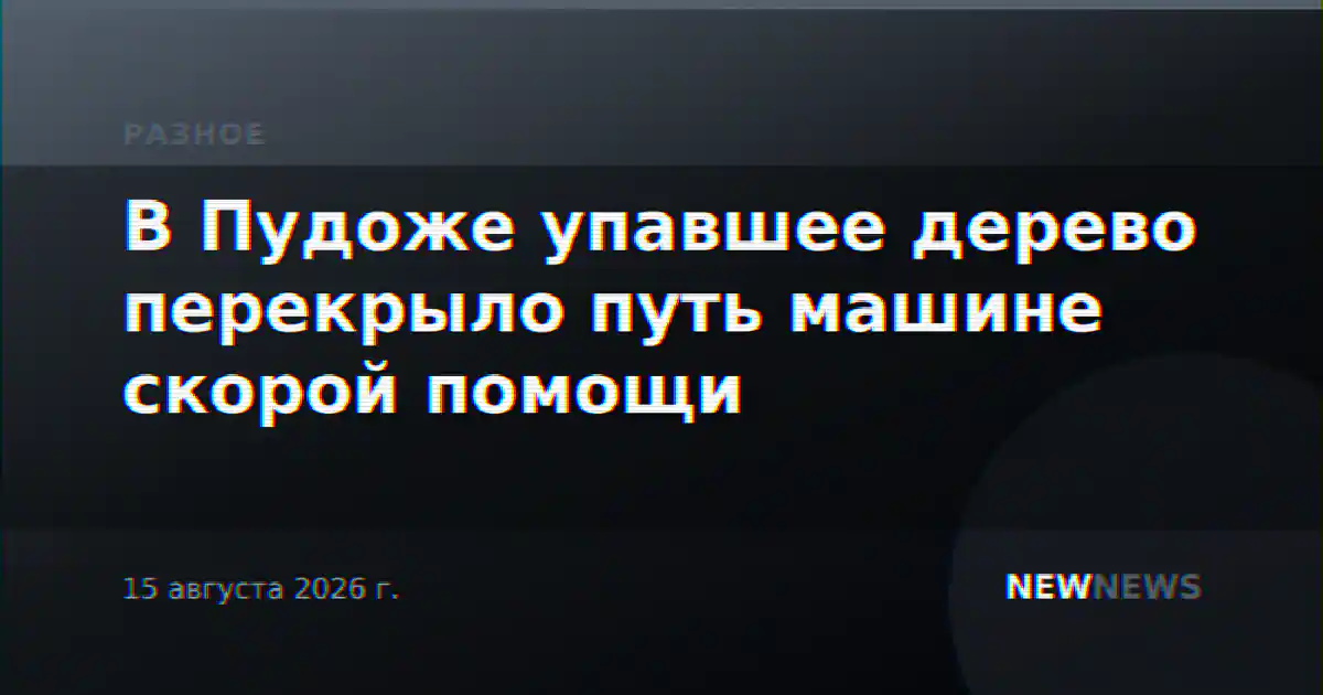 В Пудоже упавшее дерево перекрыло путь машине скорой помощи