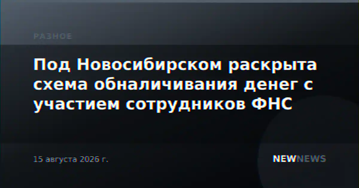 Под Новосибирском раскрыта схема обналичивания денег с участием сотрудников ФНС