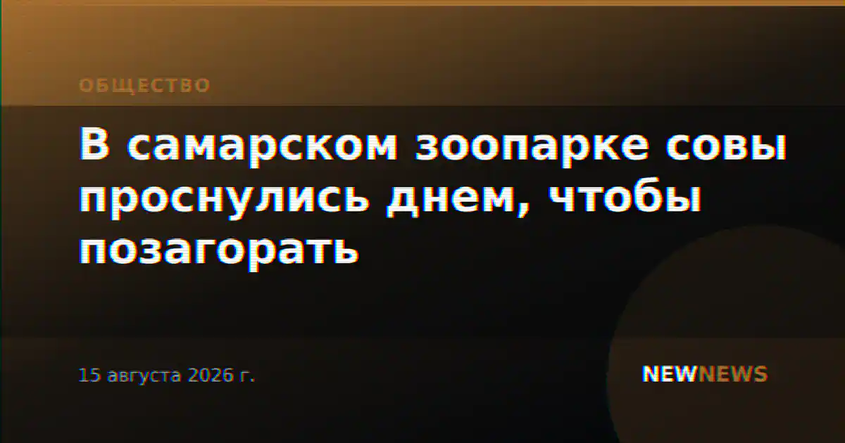 В самарском зоопарке совы проснулись днем, чтобы позагорать