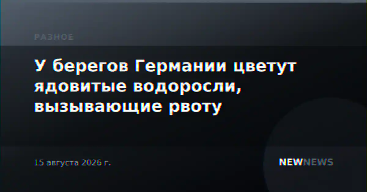 У берегов Германии цветут ядовитые водоросли, вызывающие рвоту