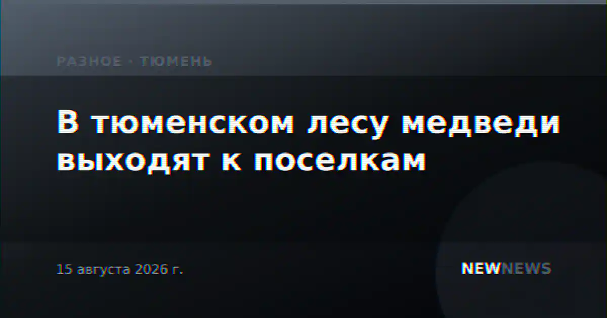 В тюменском лесу медведи выходят к поселкам