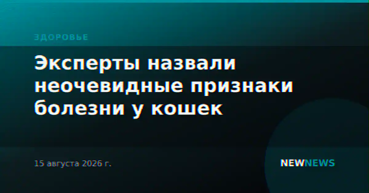 Эксперты назвали неочевидные признаки болезни у кошек