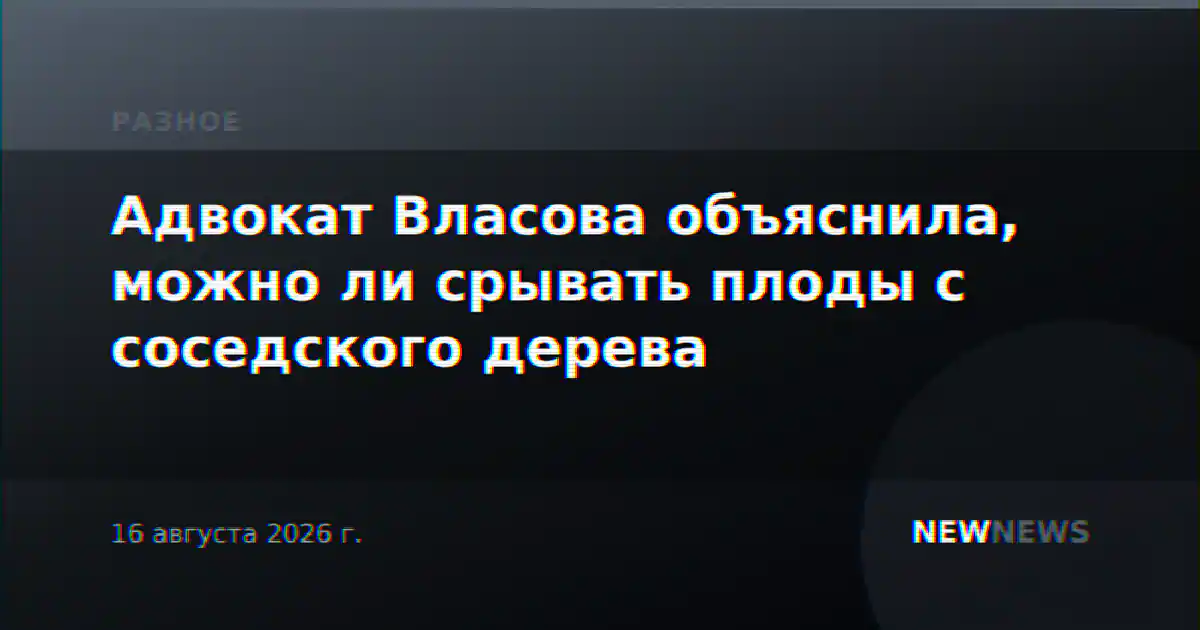 Адвокат Власова объяснила, можно ли срывать плоды с соседского дерева