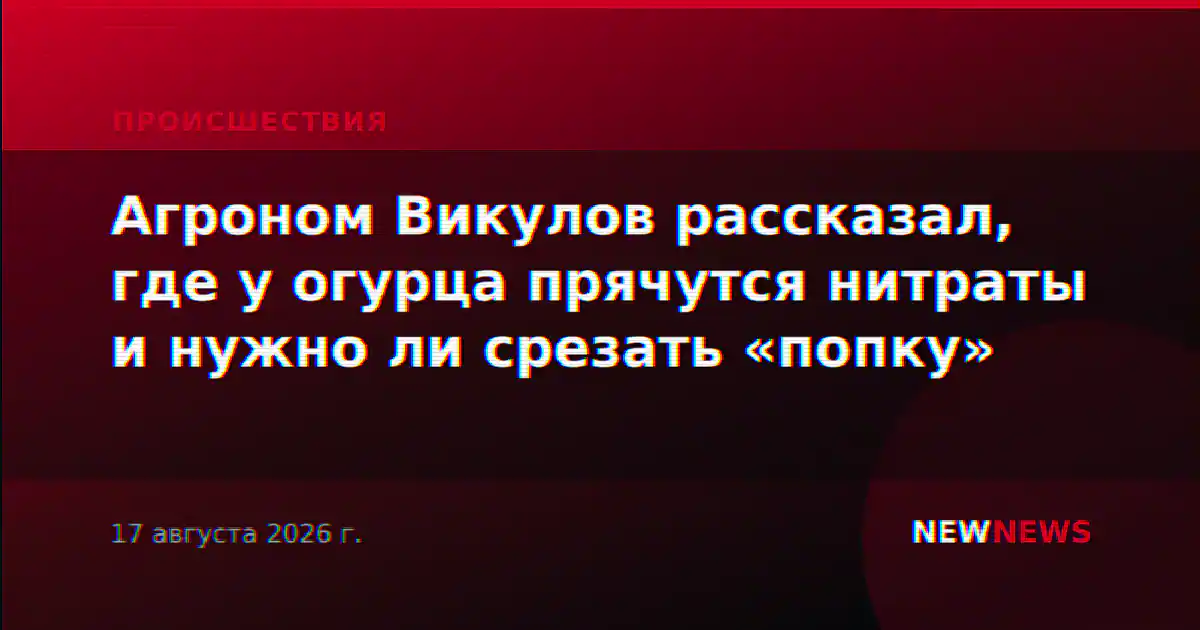 Агроном Викулов рассказал, где у огурца прячутся нитраты и нужно ли срезать «попку»