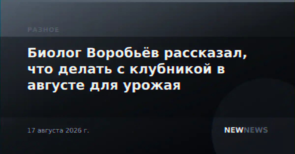 Биолог Воробьёв рассказал, что делать с клубникой в августе для урожая