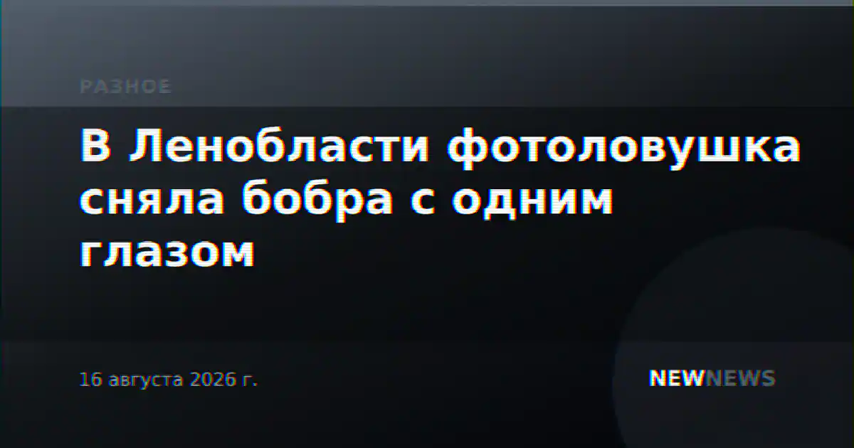 В Ленобласти фотоловушка сняла бобра с одним глазом