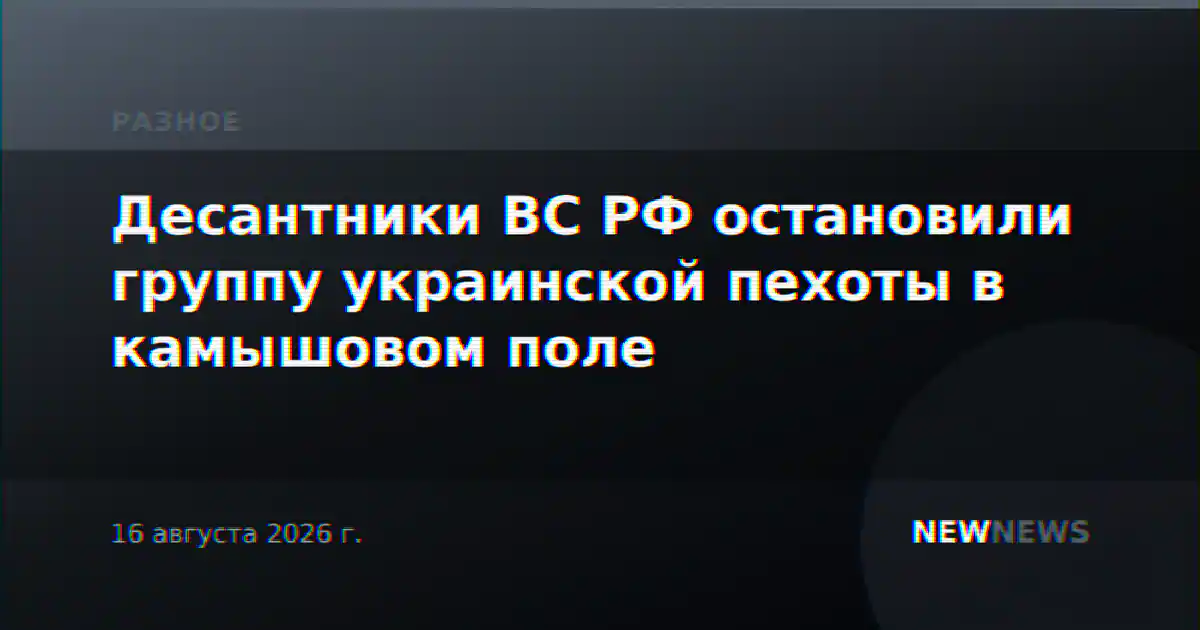 Десантники ВС РФ остановили группу украинской пехоты в камышовом поле