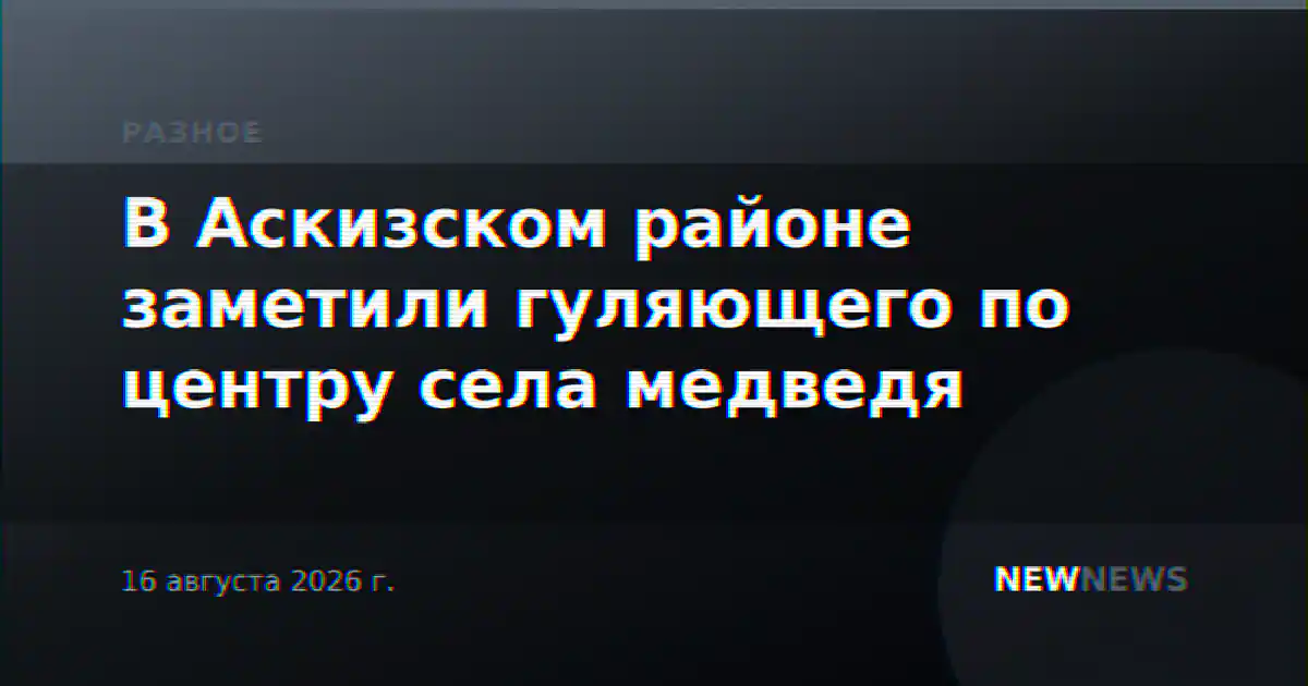 В Аскизском районе заметили гуляющего по центру села медведя