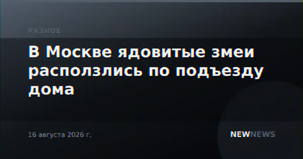 В Москве ядовитые змеи расползлись по подъезду дома