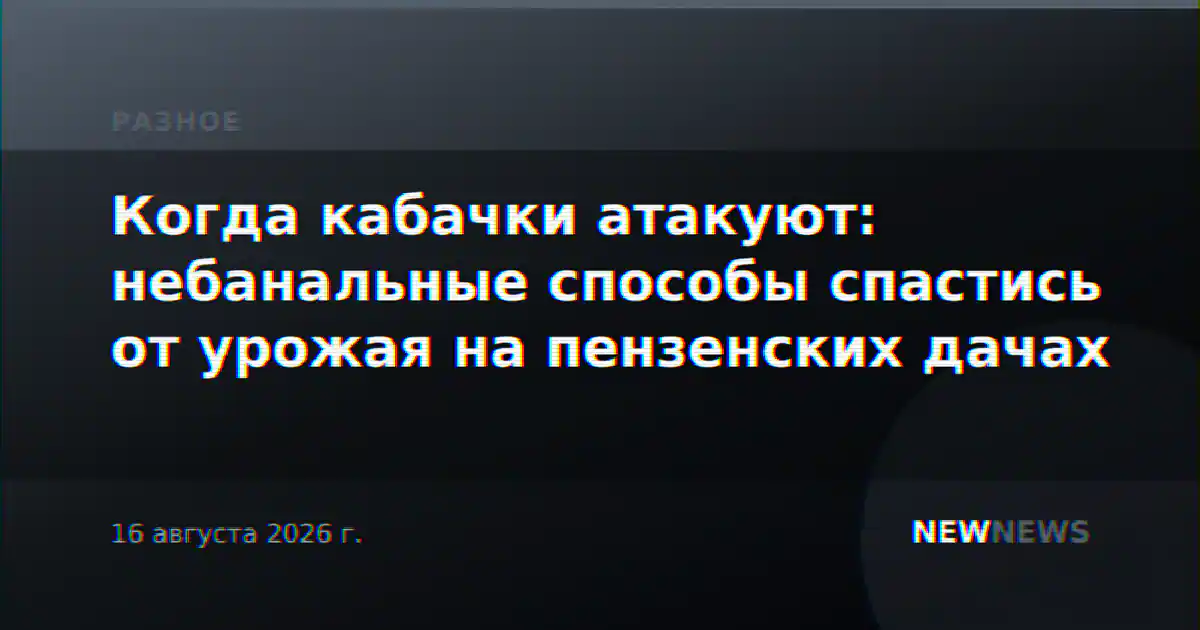 Когда кабачки атакуют: небанальные способы спастись от урожая на пензенских дачах