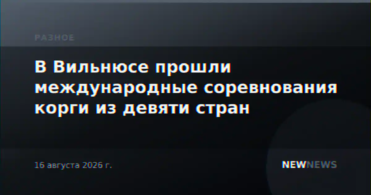 В Вильнюсе прошли международные соревнования корги из девяти стран