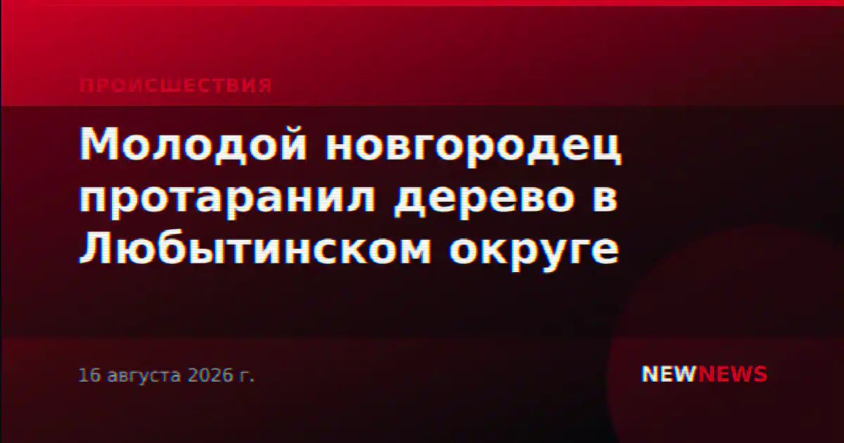 Молодой новгородец протаранил дерево в Любытинском округе