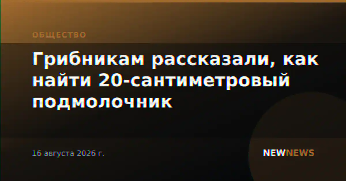 Грибникам рассказали, как найти 20-сантиметровый подмолочник