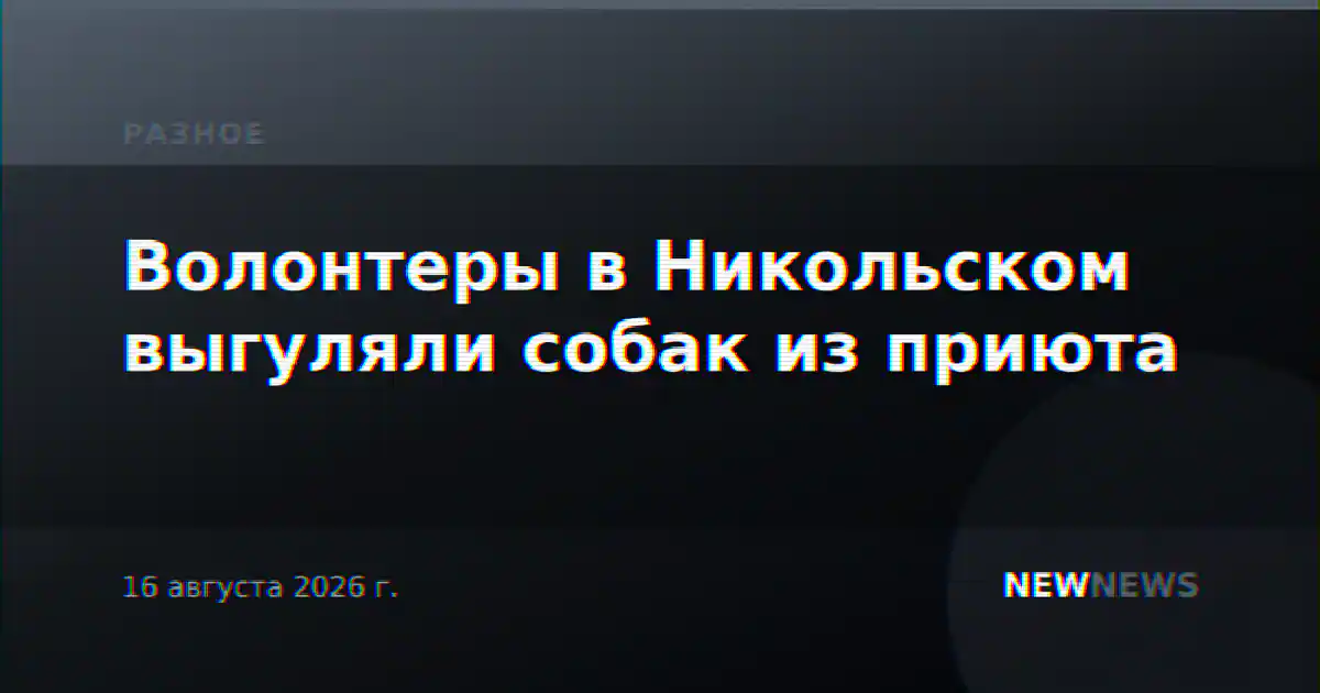 Волонтеры в Никольском выгуляли собак из приюта