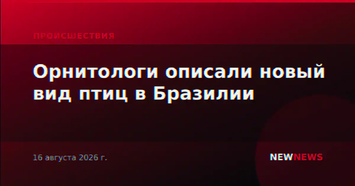 Орнитологи описали новый вид птиц в Бразилии