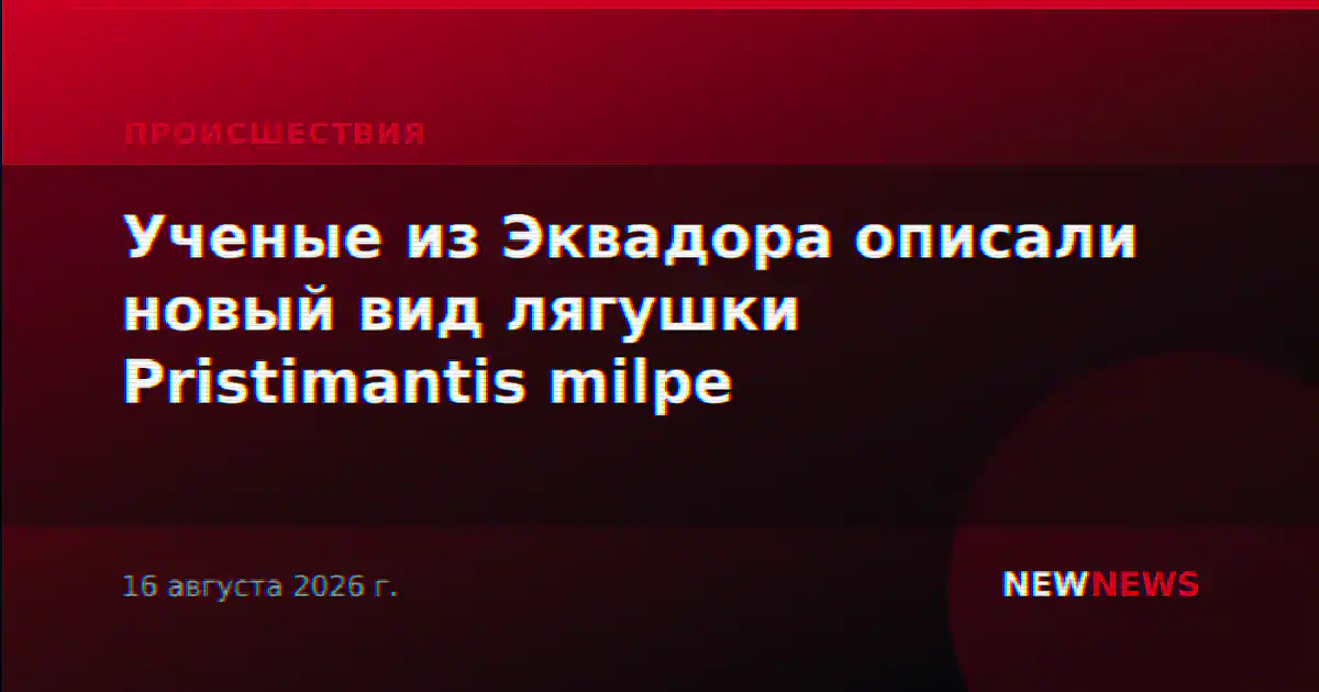 Ученые из Эквадора описали новый вид лягушки Pristimantis milpe