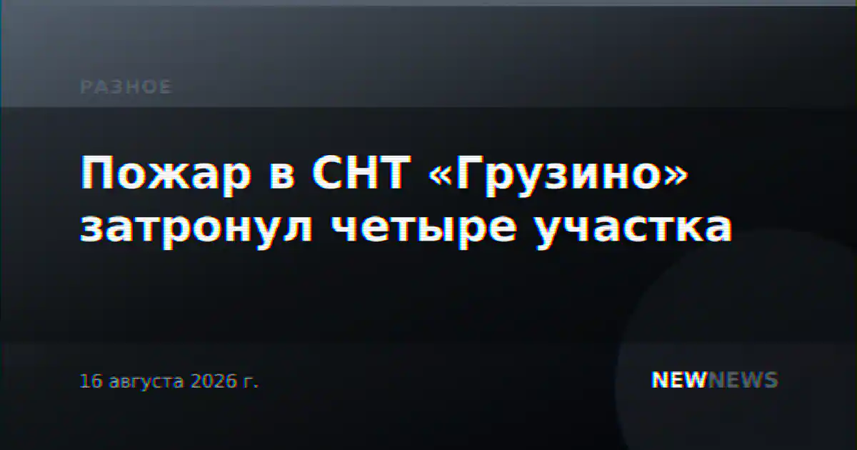 Пожар в СНТ «Грузино» затронул четыре участка
