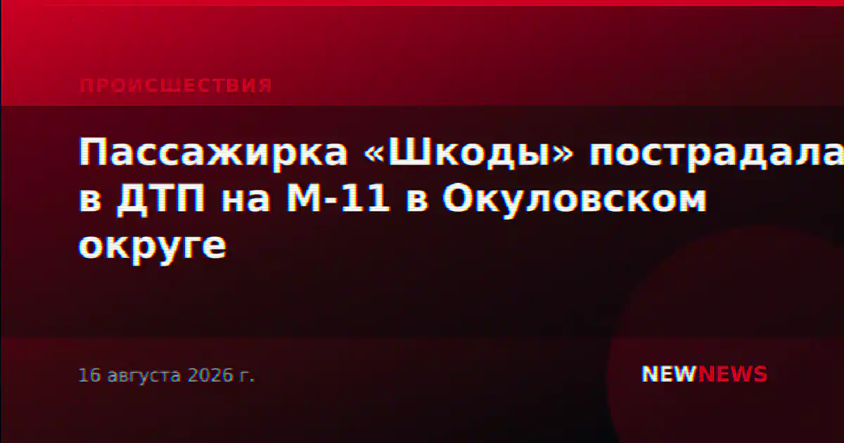 Пассажирка «Шкоды» пострадала в ДТП на М-11 в Окуловском округе