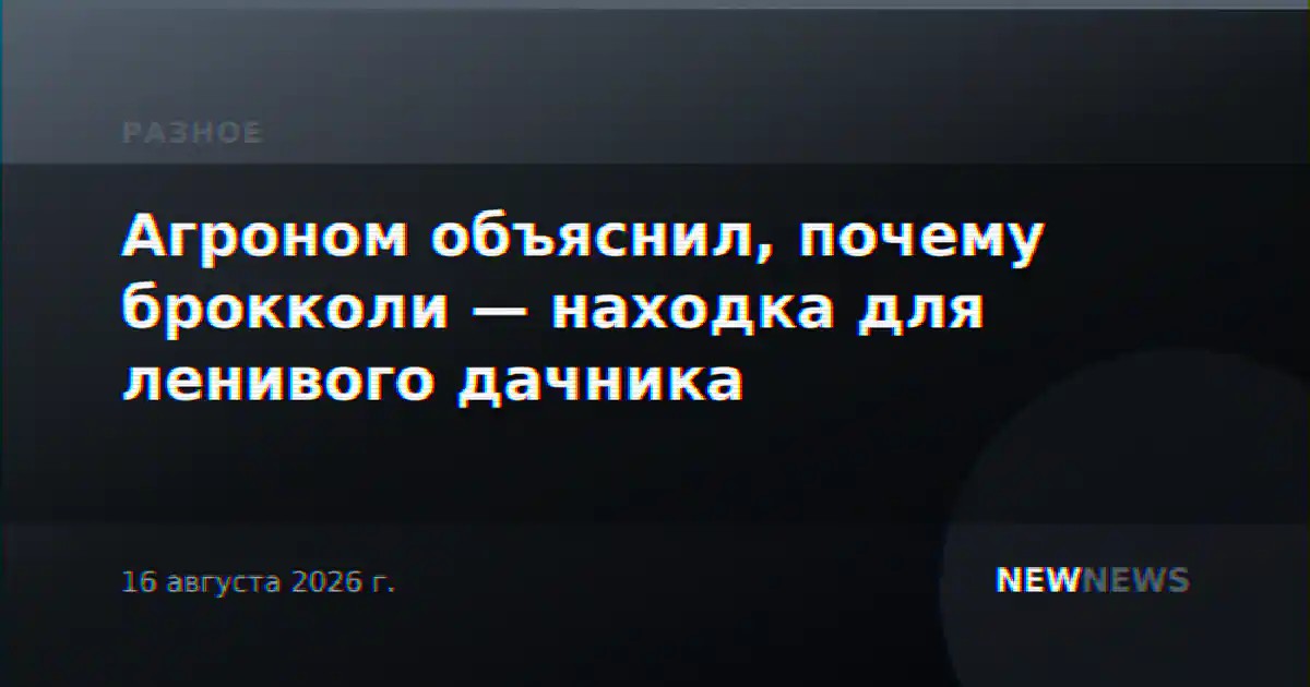 Агроном объяснил, почему брокколи — находка для ленивого дачника