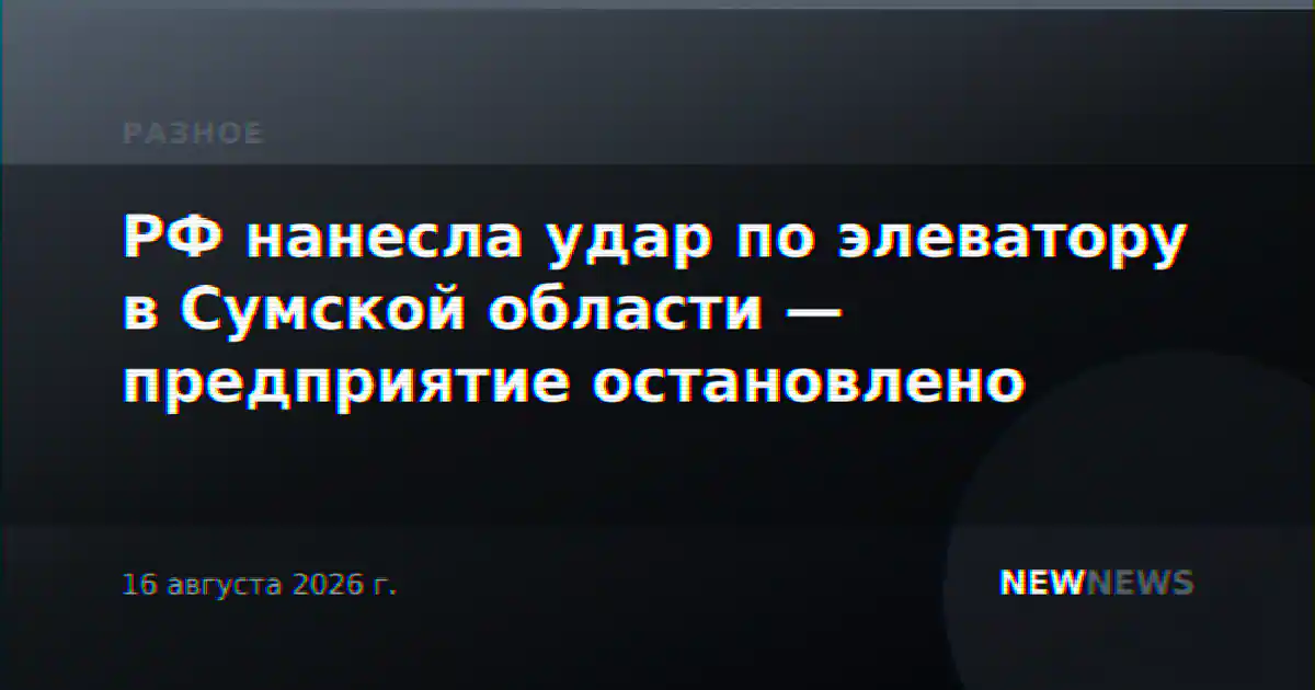 РФ нанесла удар по элеватору в Сумской области — предприятие остановлено
