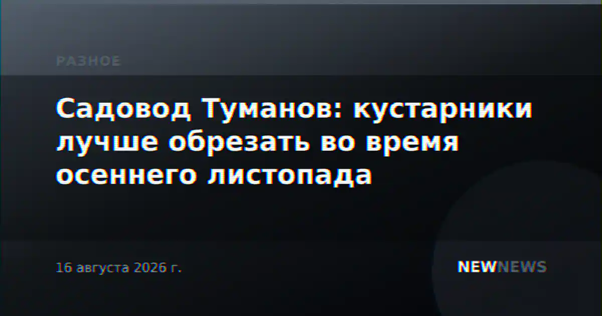Садовод Туманов: кустарники лучше обрезать во время осеннего листопада