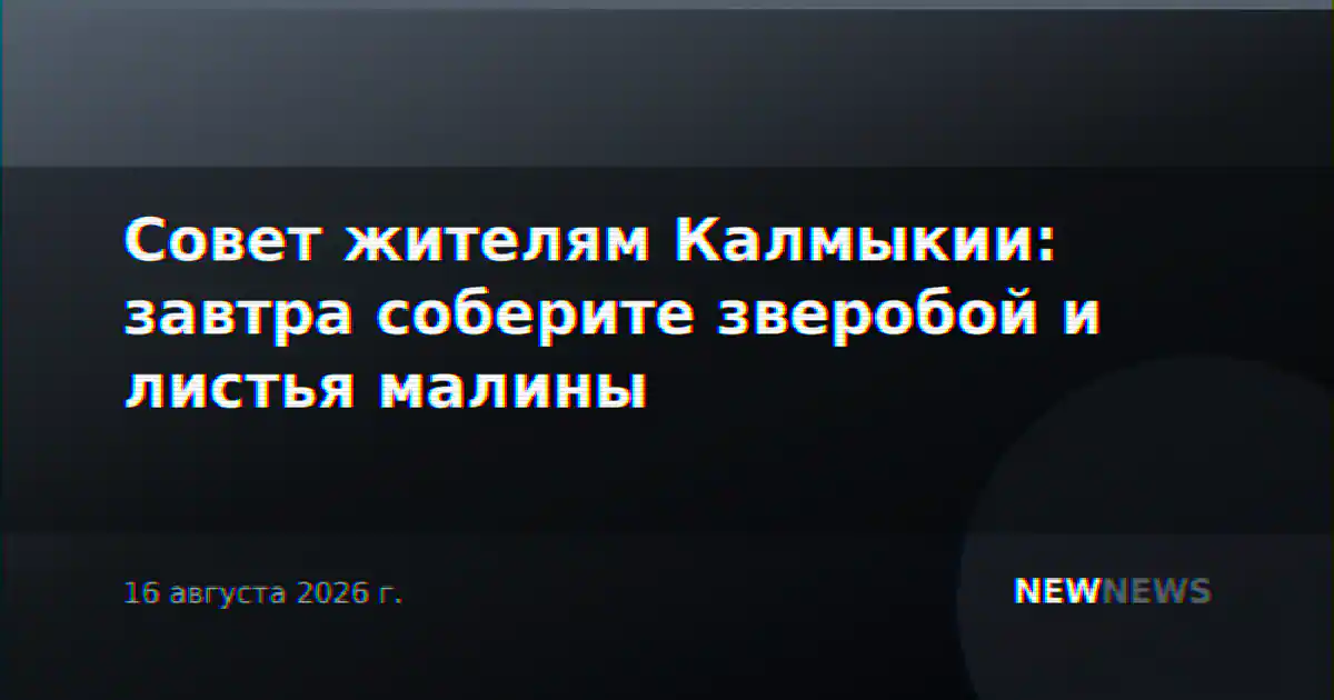 Совет жителям Калмыкии: завтра соберите зверобой и листья малины