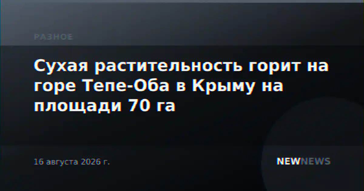 Сухая растительность горит на горе Тепе-Оба в Крыму на площади 70 га