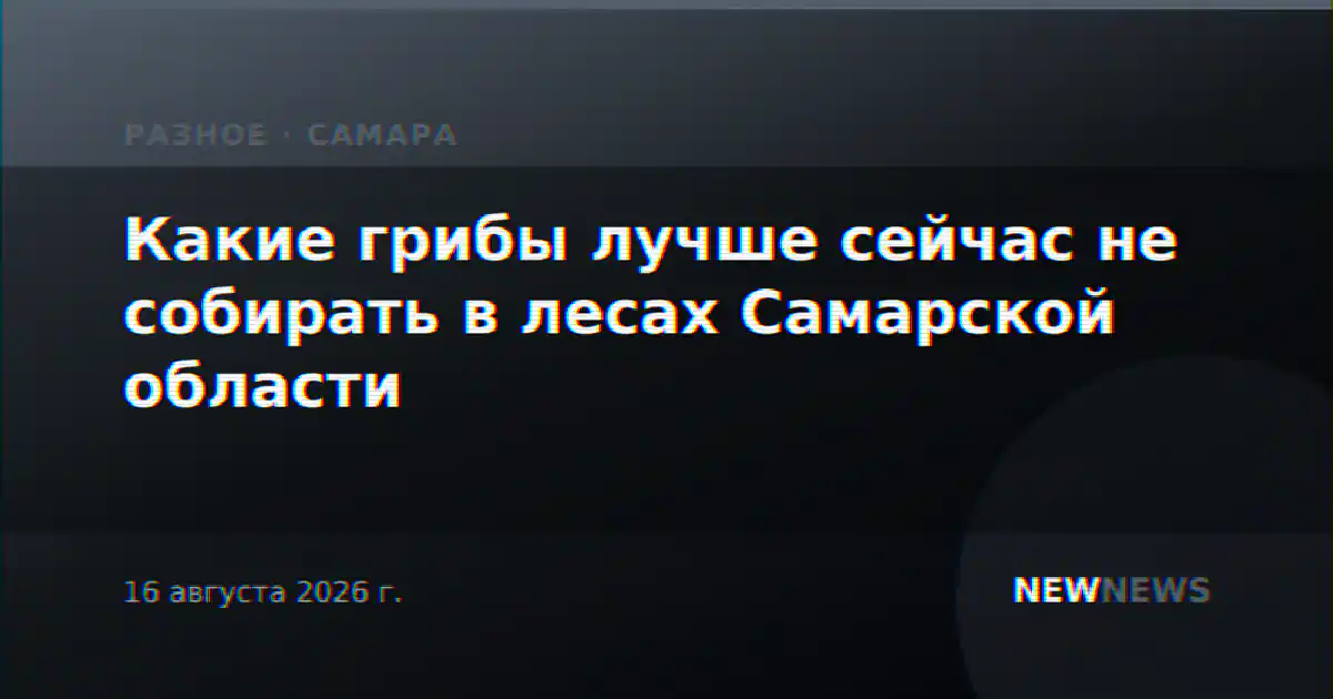 Какие грибы лучше сейчас не собирать в лесах Самарской области