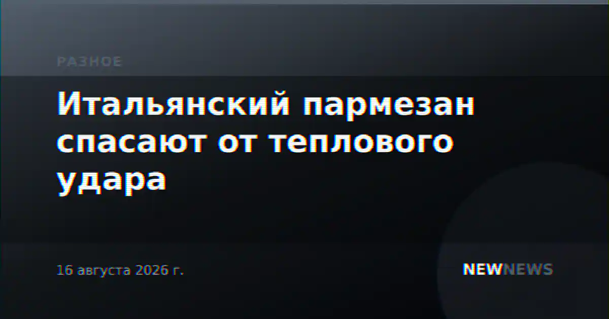 Итальянский пармезан спасают от теплового удара