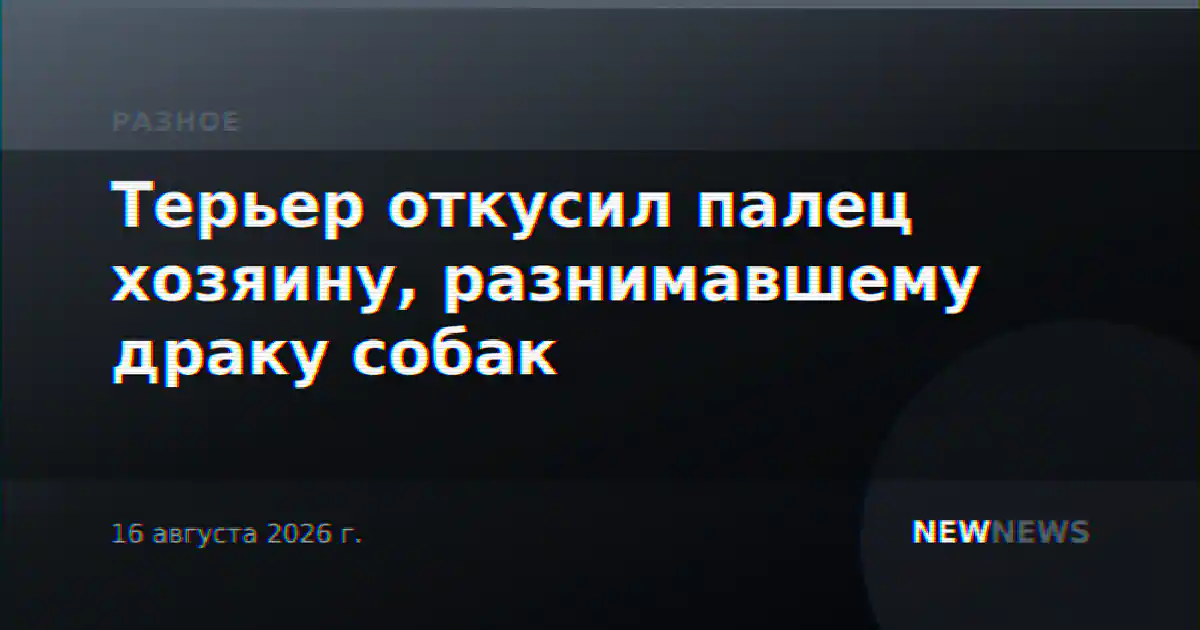 Терьер откусил палец хозяину, разнимавшему драку собак