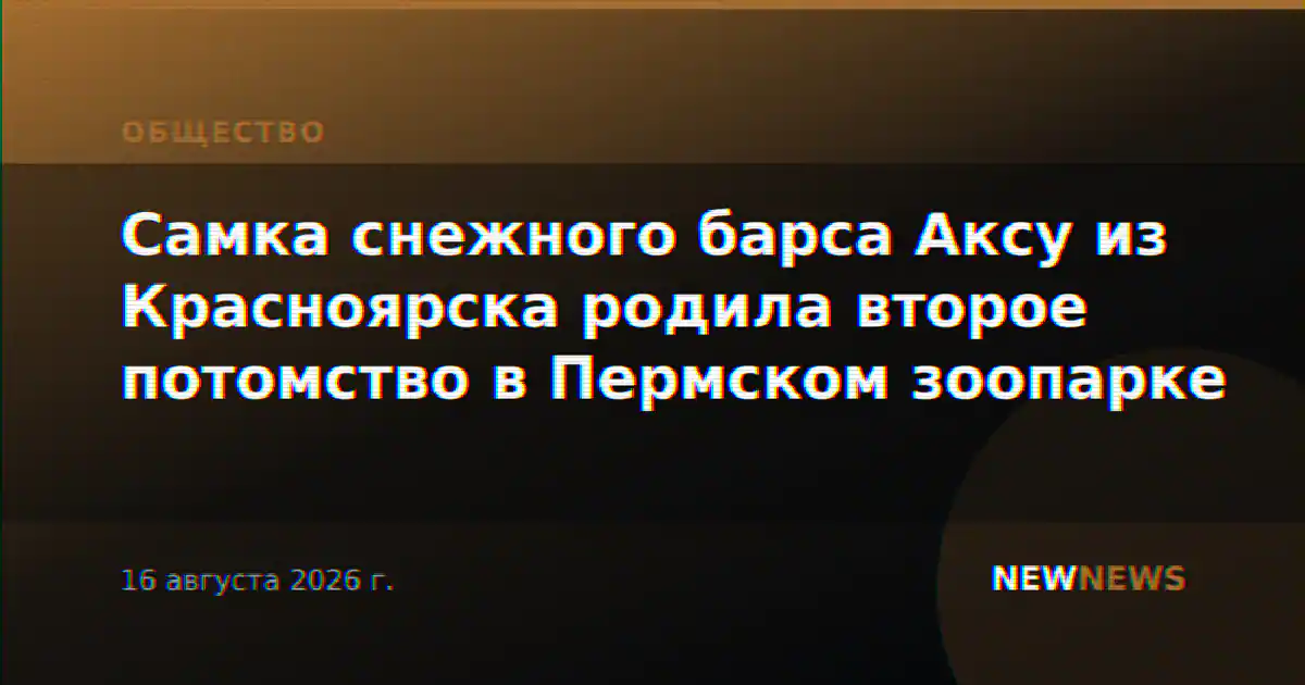 Самка снежного барса Аксу из Красноярска родила второе потомство в Пермском зоопарке