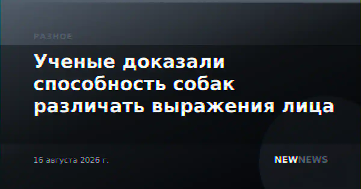 Ученые доказали способность собак различать выражения лица