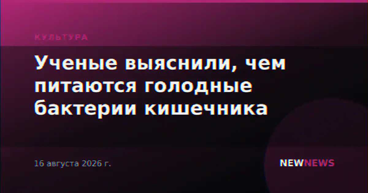 Ученые выяснили, чем питаются голодные бактерии кишечника