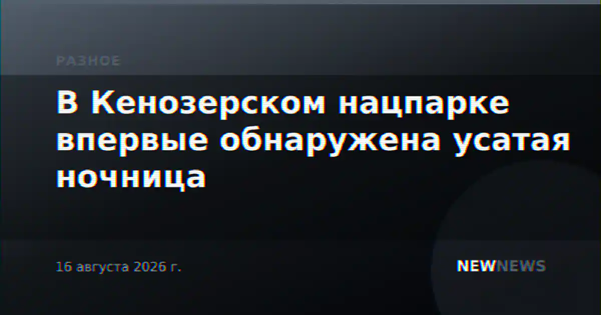 В Кенозерском нацпарке впервые обнаружена усатая ночница